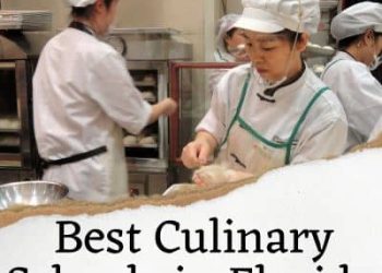 Best Culinary Schools in Florida